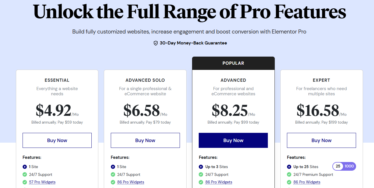 Elementor Pro Plugin Pricing