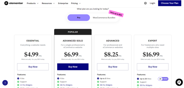 Elementor Pricing 
